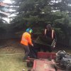 SUPREME LANDSCAPING