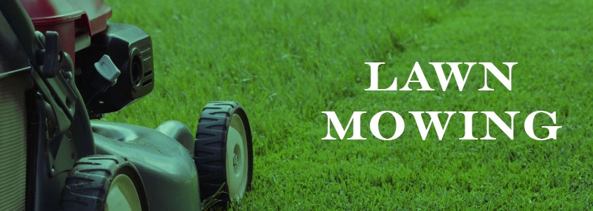 Regular lawn mowing