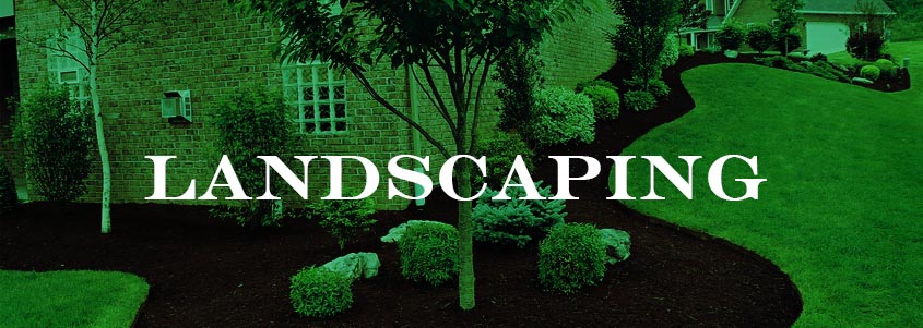 New Landscaping